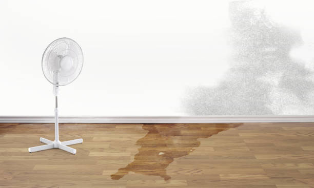 Best 24-hour water damage restoration  in Liberty, NC