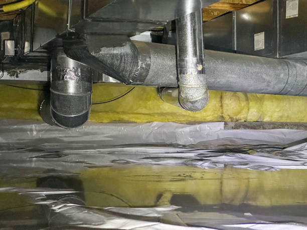 Best Water damage restoration cost  in Liberty, NC